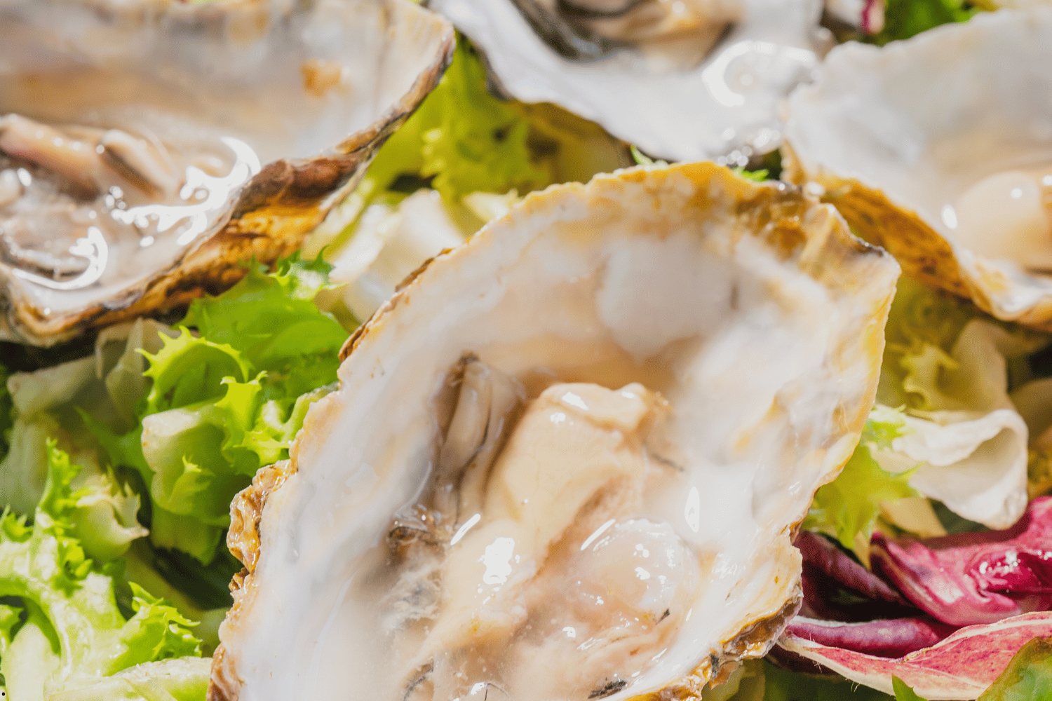 Mapa de la playa de La Malagueta en Málaga con Chiringuito Picasso señalado y rutas de acceso a pie y en coche